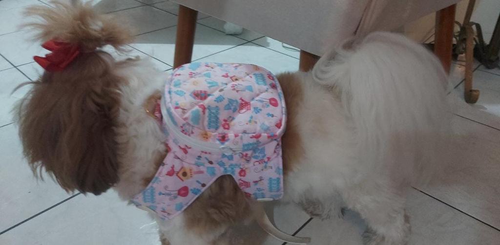 MOCHILA PARA CÃES E GATOS